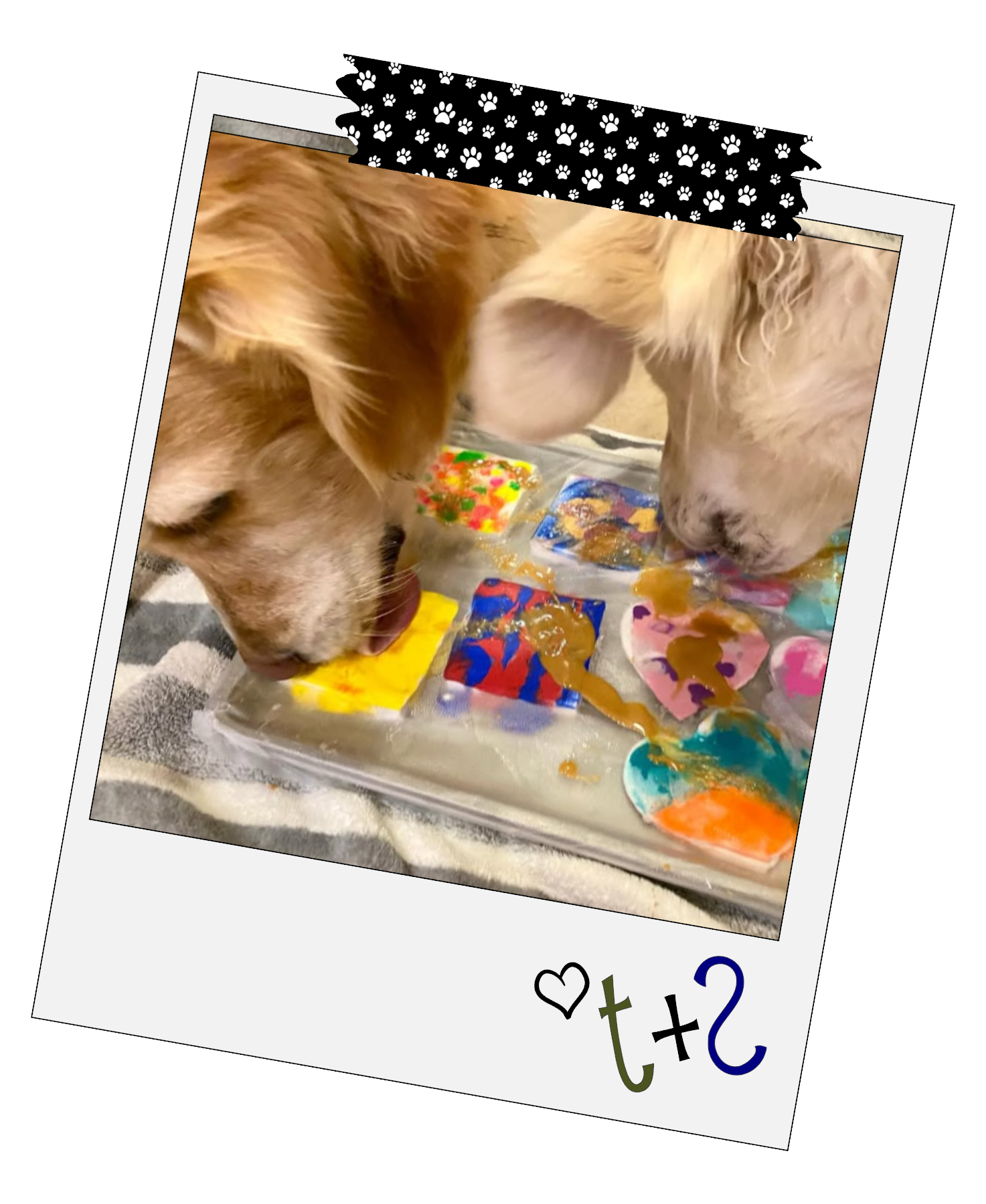 two adorable dogs painting