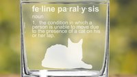 Feline Paralysis Laser Engraved 10 oz Old Fashion/ Whiskey/ Rocks Glass - PPet Dad, Cat Dad, Cat Mom, Pet Parent, Dad Gift, Mom Gift, Lover